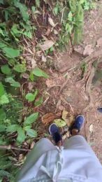 Clark_Jhonz webcam cam4 model stream image