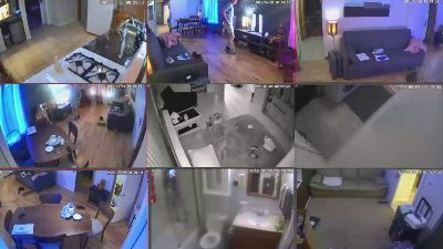 PaleSkinnyGingr webcam model stream image