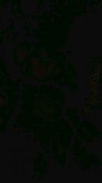 nancyrossy2 webcam model stream image