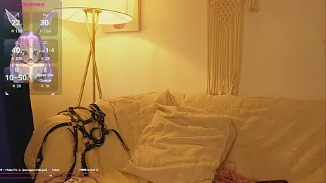 bunnycuteshy webcam model stream image