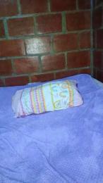 catalina_sexy webcam model stream image