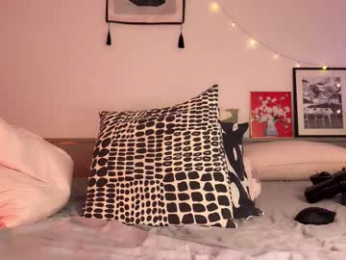 _swaa webcam model stream image