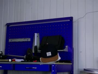 dustyn_fox webcam model stream image