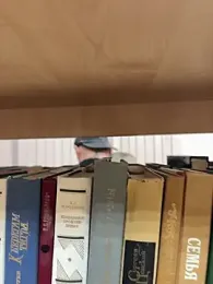 mmelicious webcam model stream image