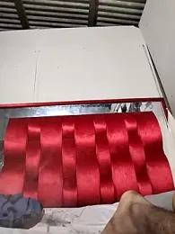 Kesurra webcam model stream image