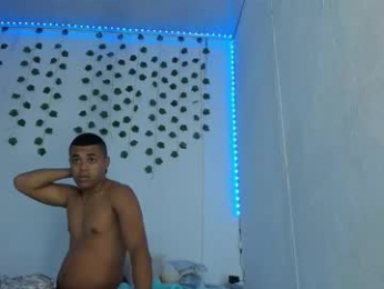 purefire2000 webcam model stream image