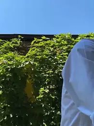 TomEllisX webcam model stream image