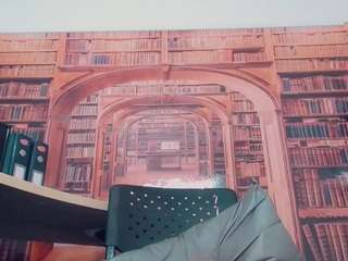 brittany-colorado webcam model stream image