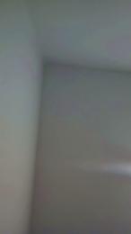 didi2081 webcam model stream image
