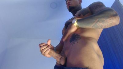 SR_Fuerte webcam model stream image