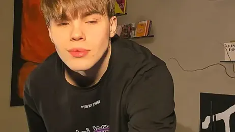 simonvnl webcam model stream image