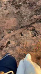 Apolocollo webcam model stream image