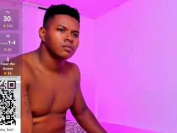 sasha_fox0 webcam model stream image