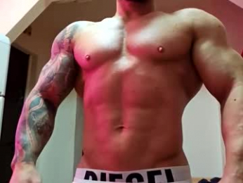 adonis_msc webcam chaturbate model stream image