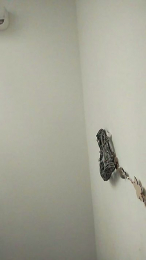 Romeo0juliet webcam model stream image