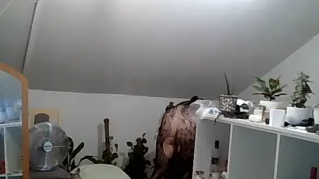 DeconetSex webcam model stream image