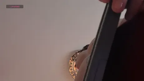 dantecoppolaa_ webcam model stream image