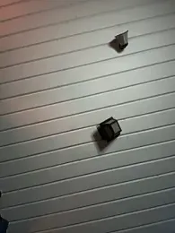 Integrityofsin webcam model stream image