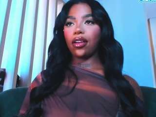 teerry webcam model stream image