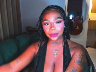 teerry webcam model stream image