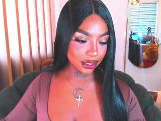 teerry webcam model stream image