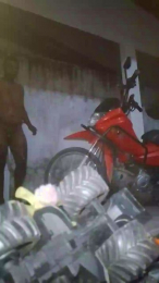 06829793335 webcam model stream image