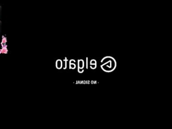 gladyshankins webcam model stream image