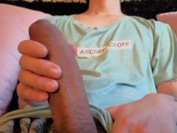 bumblubee webcam model stream image