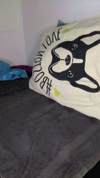 Volcaniik webcam model stream image