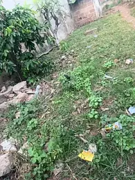 Black-mamba-madingo webcam stripchat model stream image