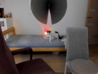 la-vida-loca webcam model stream image