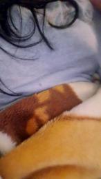 Deliciatimida webcam model stream image