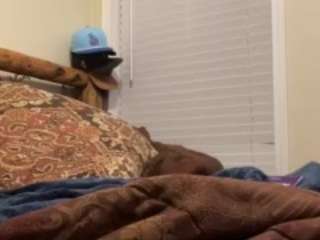 vivizidane webcam model stream image