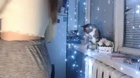 delightful_sofi webcam model stream image