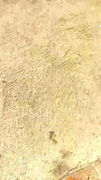 Overday212 webcam model stream image