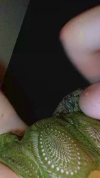 Cloclo45 webcam model stream image