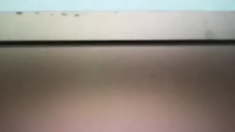 Sakura1700 webcam model stream image