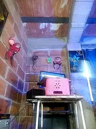 assbignatha webcam model stream image