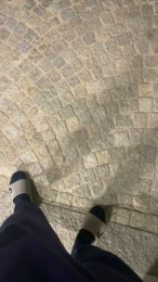 Nolino20 webcam model stream image