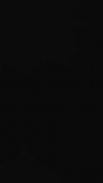 Nolino20 webcam model stream image