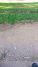 REYi7 webcam model stream image