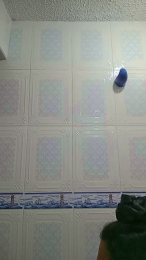 Dayann_Foxsr webcam model stream image