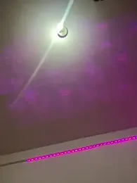 melisabunnny webcam model stream image