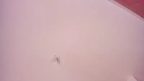 ScarlettRosetti webcam model stream image