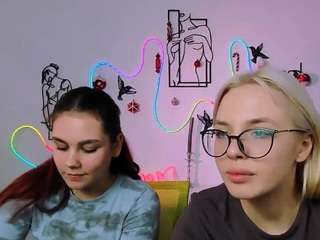 veri-ni webcam model stream image