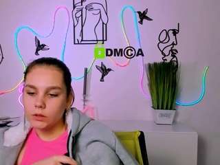 veri-ni webcam model stream image