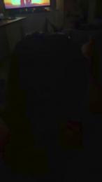 Chinesefrenchi webcam model stream image