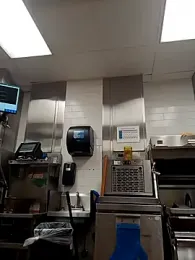 Dropdingo webcam model stream image