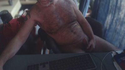 ptibear1 webcam model stream image