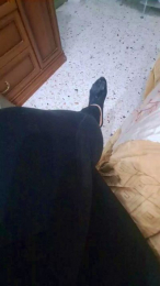 Diavoletta77 webcam model stream image